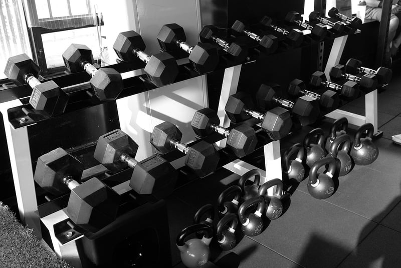 Core Strengthening Dumbbells