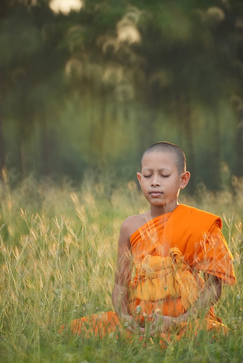 Vinyasa Yoga Pose